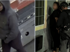 Sadie Slater, L.A dognapping suspect, 21, arrested in theft of French bulldog